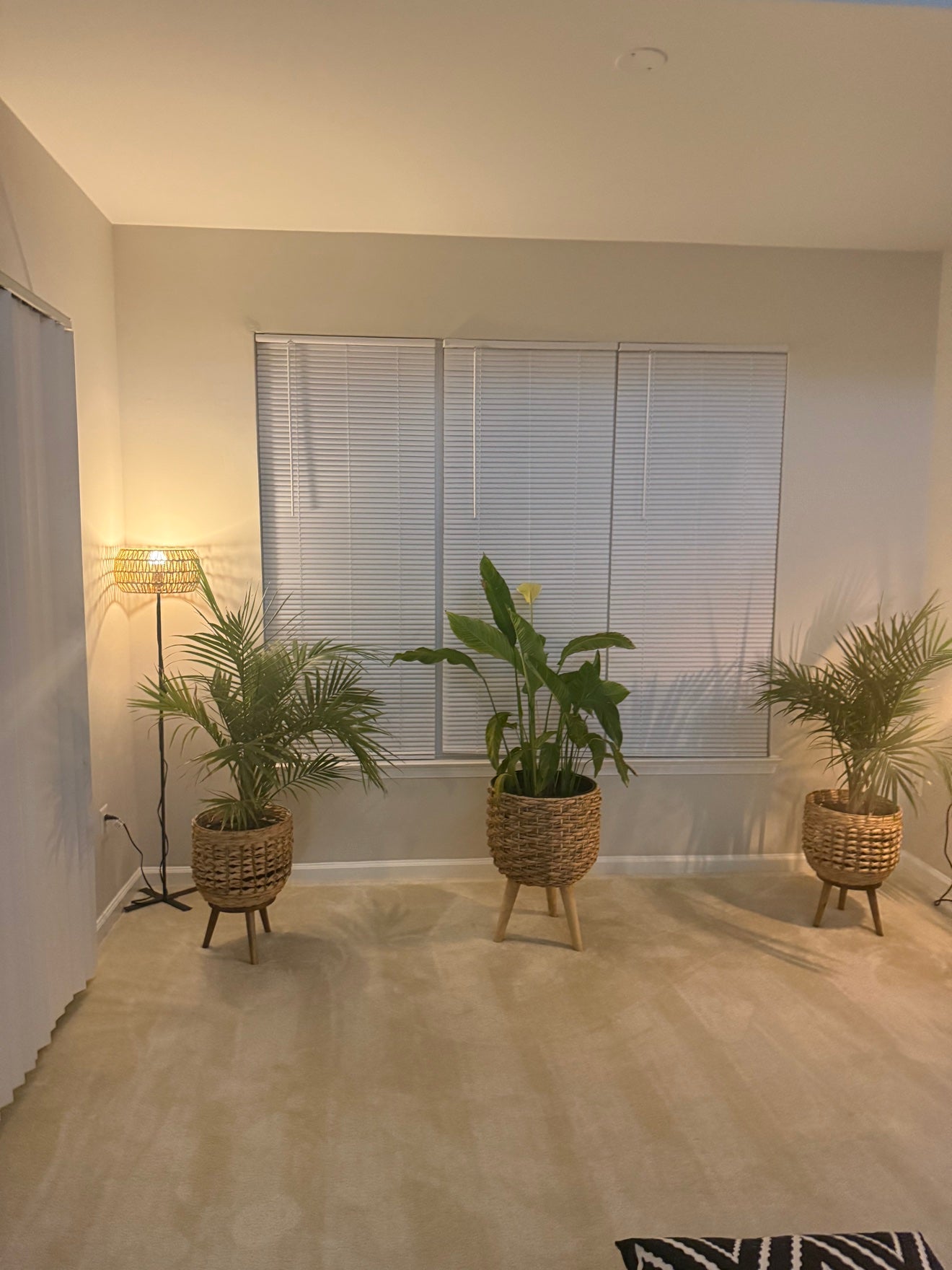 Seagrass planters styled with live plants in Erica's home